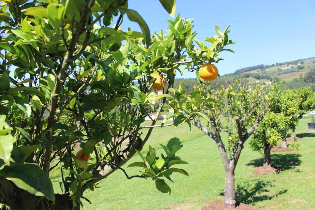 Posada El Campo Secadura 외부 사진